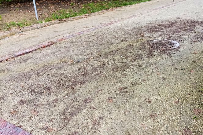 Usterki na Alei Fałata