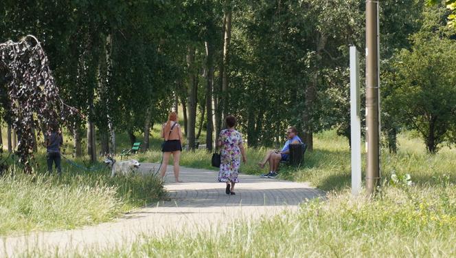 Lublin. „Filary porośnięte bluszczem” i nie tylko. Park Jana Pawła II w lipcowej odsłonie