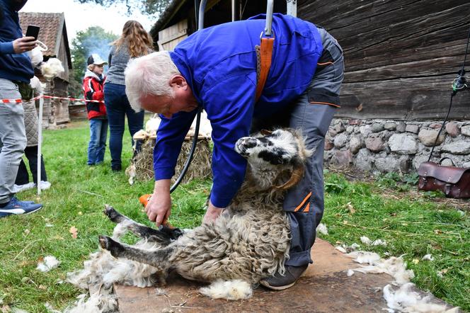 Smaki jesieni w skansenie. Zobacz, co działo się na imprezie w Olsztynku [ZDJĘCIA]