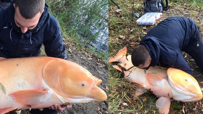 Potwór z głębin złowiony! Najstarsi wędkarze nic o nim nie wiedzą [ZDJĘCIA]