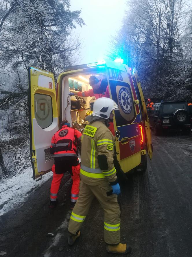 Sopotnia Mała: Na parę jadącą motorowerem spadło drzewo. Trafili do szpitala 