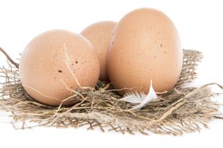Zatrute jajka w Europie - czym są skażone? Jak uniknąć zatrucia skażonymi jajami?
