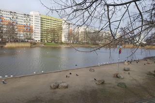 Dwa nowe kąpieliska w Bydgoszczy. Już wiadomo, jak będą wyglądać [ZDJĘCIA, AUDIO]