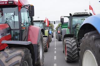 Wielki protest rolników w Łódzkiem. Sprawdź, gdzie występują utrudnienia [ZDJĘCIA]