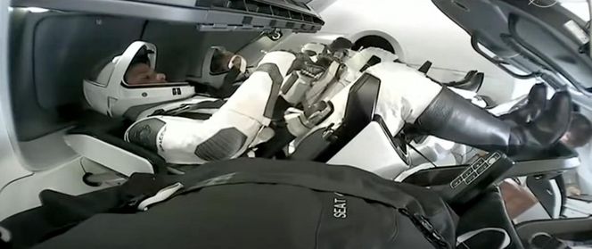 Sławosz Uznański-Wiśniewski