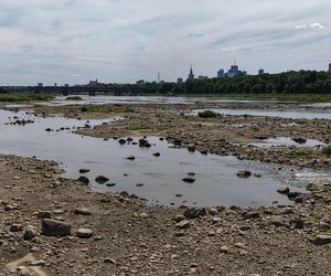 Warszawa. Rekordowy stan wody w Wiśle