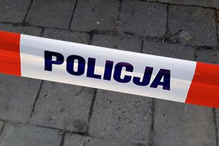 MAKABRA w Lublinie! Pies ODGRYZŁ GŁOWĘ właścicielowi. Amstaff żywił się zwłokami?!