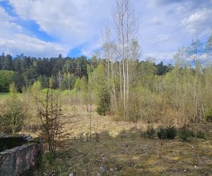 Stadion Leśny w Olsztynie dawniej i dziś. To tam bito rekordy świata w lekkiej atletyce