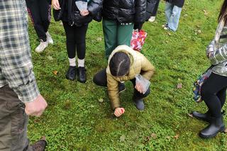 100 roślin na 100-lecie Lasów Państwowych