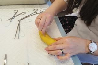 Drzwi Otwarte w Collegium Medicum UMK