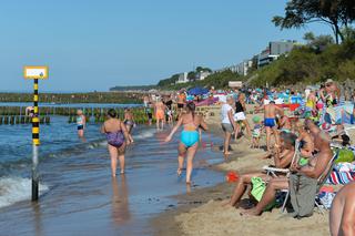 Mordercza bakteria w Bałtyku
