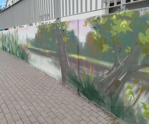 Kolorowe grafiki w siedleckim tunelu pod torami