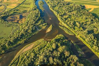 To miejsce w Małopolsce wygląda jak amazońska dżungla. Jest zapomniane przez turystów