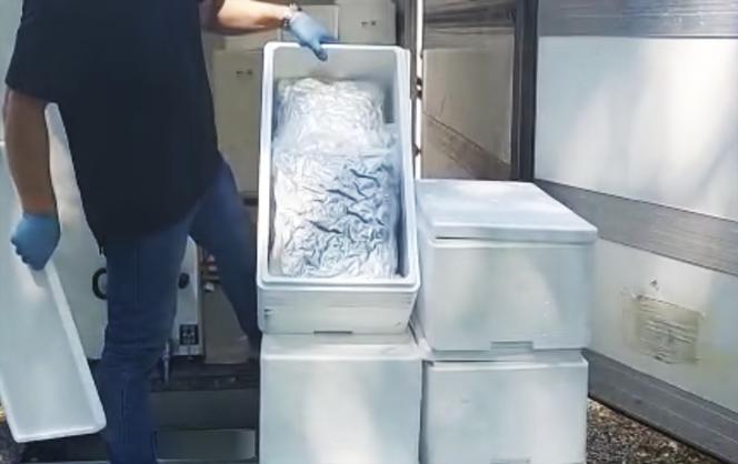 Warszawa. Przywieźli chłodnią 35 kilogramów marihuany z Hiszpanii, wpadli na Mokotowie
