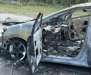 Truskaw. Auto stanęło w ogniu, kierowca się palił