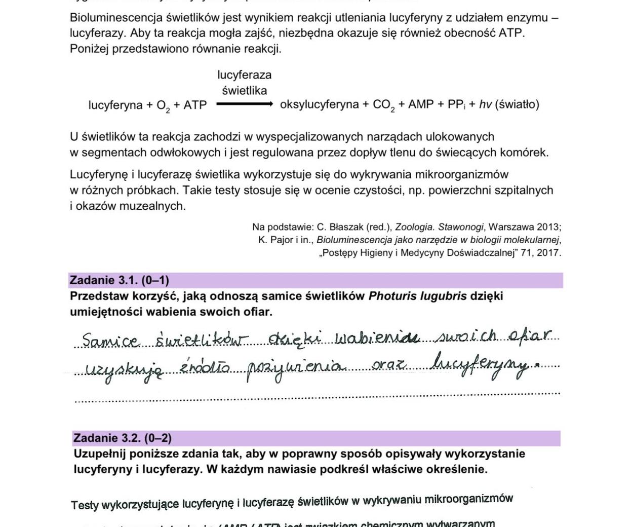 Matura 2024: Biologia Rozszerzona. Odpowiedzi, Arkusze CKE Do Pobrania ...