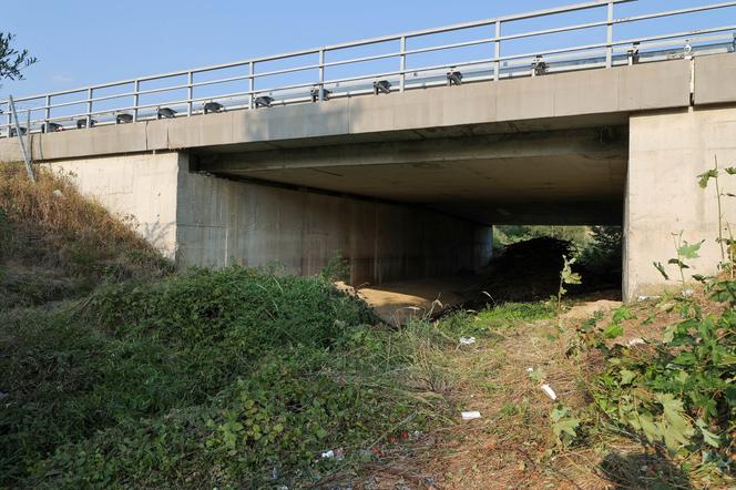 Na ziemi leży różaniec i pudełko z Matką Boską. Wstrząsający obraz po katastrofie autokaru na Chorwacji