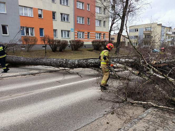 Szkody po Orkanie Eunice. Zrywało dachy, wyrywało grube drzewa, brakowało prądu