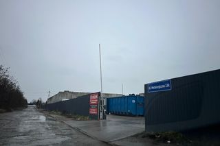 Drugie życie świątecznych drzewek. Lublin ma propozycje dla mieszkańców