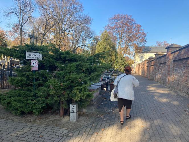 Cmentarz Bródnowski w Warszawie. Gigantyczne ceny zniczy i kwiatów