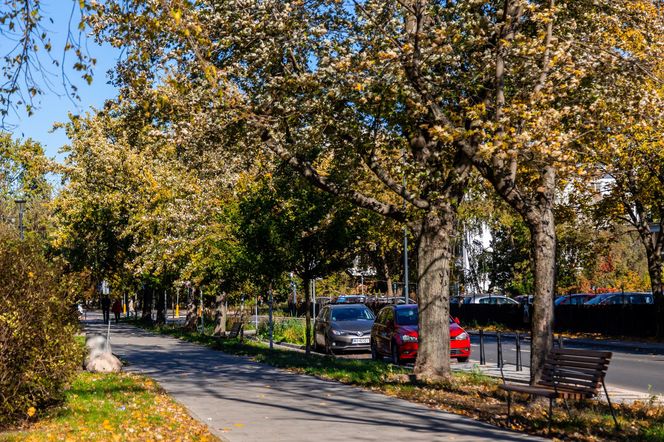 Park linearny na Bielanach w Warszawie