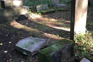 Skandal! Wandale zniszczyli zabytkowy cmentarz żydowski w Zabrzu. To chamski akt głupoty!