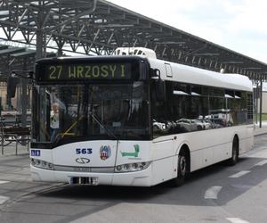 Nowe ekologiczne autobusy dla Torunia. Będą ciche i nowoczesne