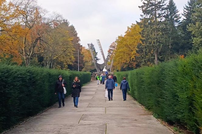 1 listopada na Cmentarzu Centralnym w Szczecinie