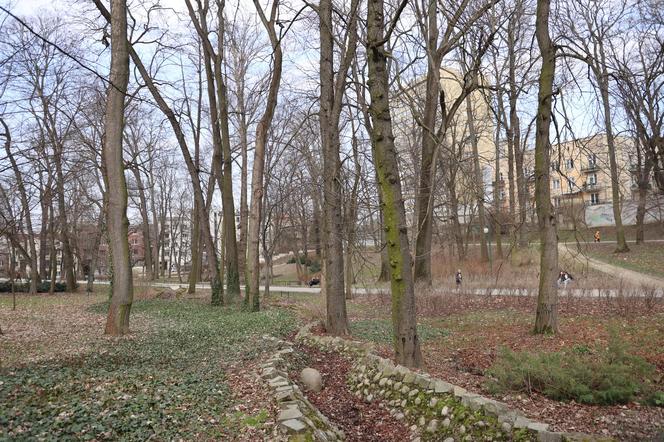 W Ogrodzie Saskim w Lublinie widać już wiosnę? Szukaliśmy jej oznak