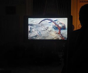 Wampirka z Pnia, czyli Zosia. Tak wyglądała