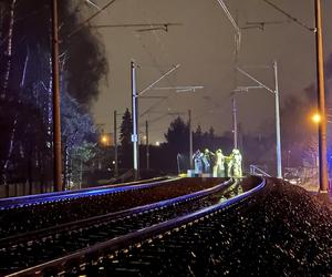 Tragedia w Grodzisku Mazowieckim. Pociąg WKD śmiertelnie potrącił człowieka