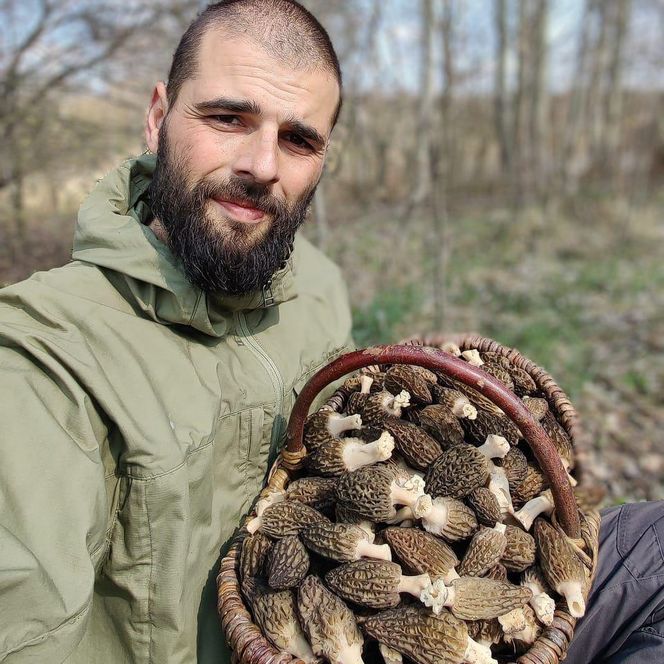 Zbiory Piotra Grzesia - twórcy bloga "Grzybów znawca"