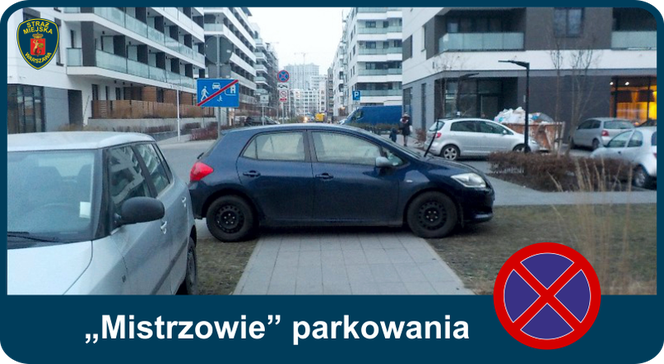 Mistrzowie parkowania. Tak kierowcy parkują w Warszawie