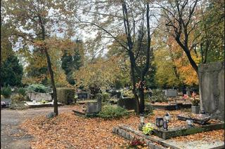 Poznaniacy kwestują na renowację zabytkowego cmentarza na Jeżycach 