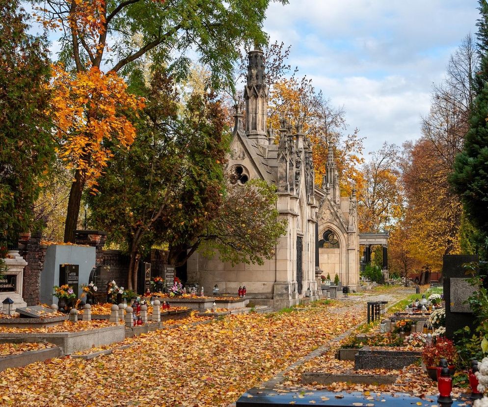 To jedyna taka zbiórka na śląskich cmentarzach. Datki zostaną przeznaczone na szczytny cel