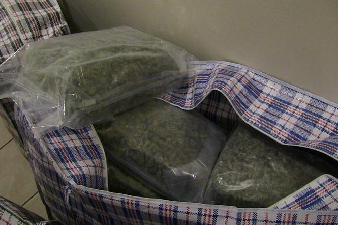 Znaleziono prawie 20 kg marihuany