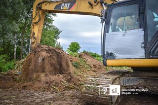 Walka z rdestowcem na budowie Trasy Północnej