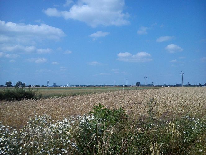 Najbiedniejsze gminy wiejskie w Łódzkiem. W tych samorządach dochód per capita jest najniższy