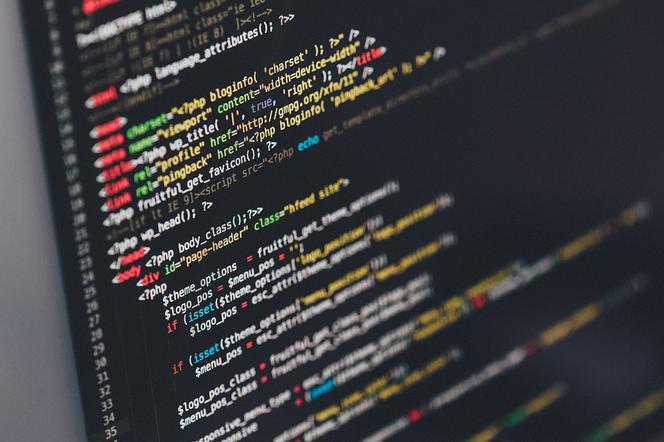 Programista aplikacji