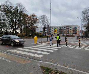 Uliczni opiekunowie pomagają pieszym przejść przez łomżyńskie ulice. ZDJĘCIA