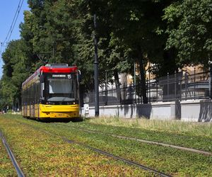 Zielone torowiska