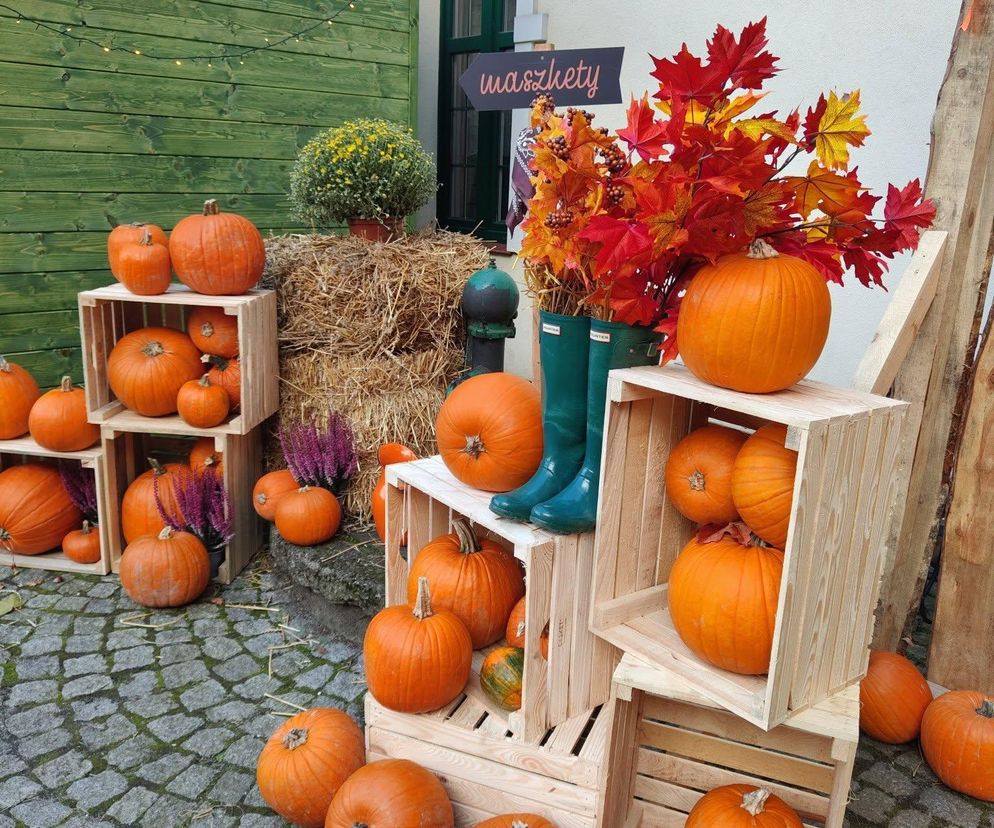 Jesienna atrakcja dla całej rodziny. Zabytkowa stacja w Rudach zaprasza na Pumpkin Express