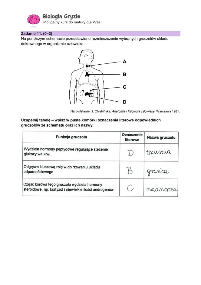 Matura 2024: biologia. Arkusze CKE i odpowiedzi. Poziom rozszerzony [Formuła 2023]