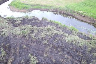 Pożar Biebrzańskiego Parku Narodowego. Spłonęło 13 ha łąk [12/13.06.2023]