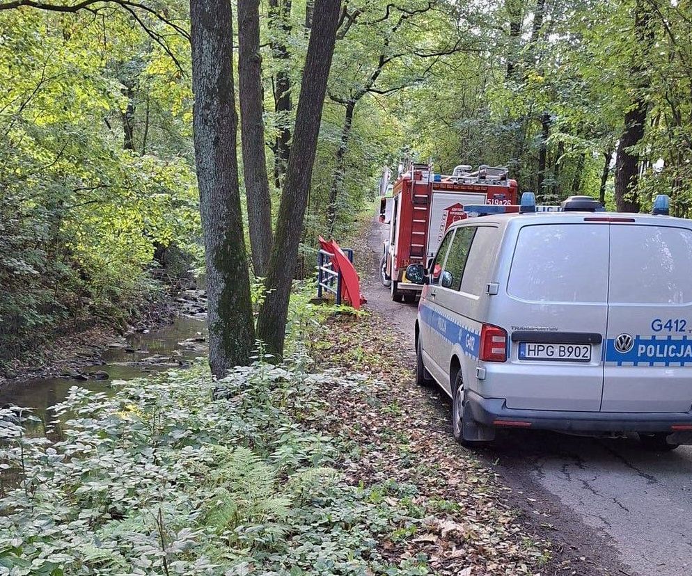 Makabryczne odkrycie w Bulowicach. W potoku znaleziono ciało 66-latka
