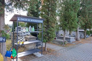 Kolejne zniczodzielnie w naszym regionie. Gdzie się pojawiły? 