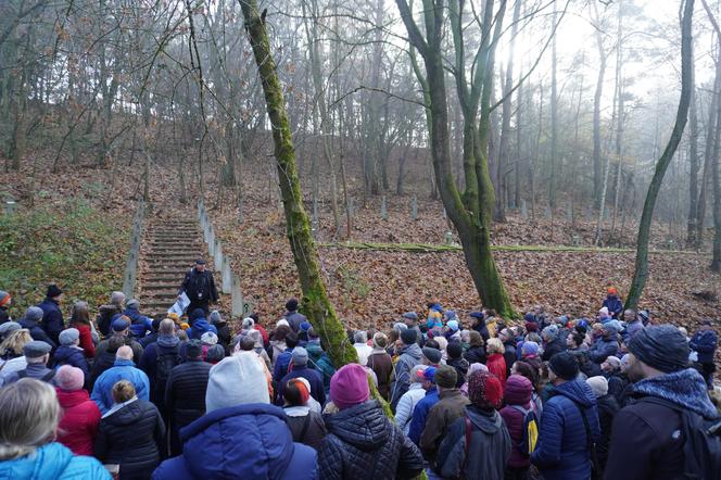 Byliśmy na Górze Czarownic w Fordonie. Na stosach spłonęły tu przynajmniej 72 kobiety [ZDJĘCIA]