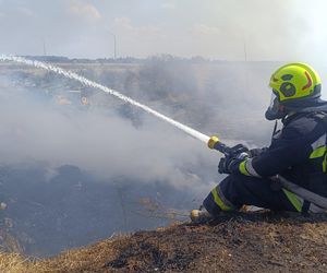 Zakończyło się dogaszanie pożaru na terenie sortowni śmieci w Bełżycach