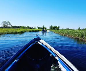 Gdzie na kajaki w regionie? Popularne trasy