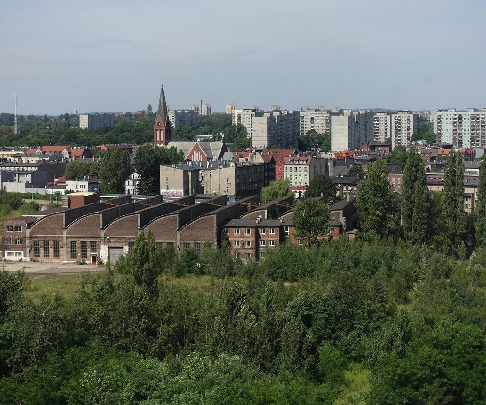 AI wskazała śląskie miasto z największymi problemami. Te dane mówią wszystko, bezlitosna ocena